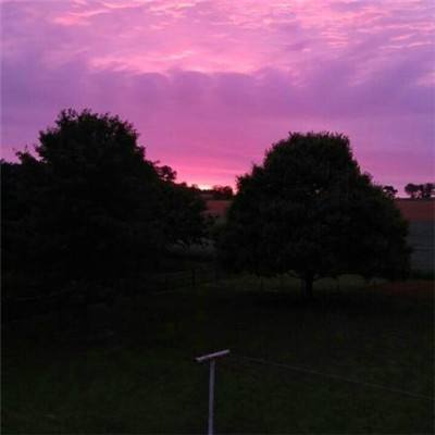 助赢软件手机app下载