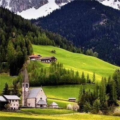 球探手机app下载